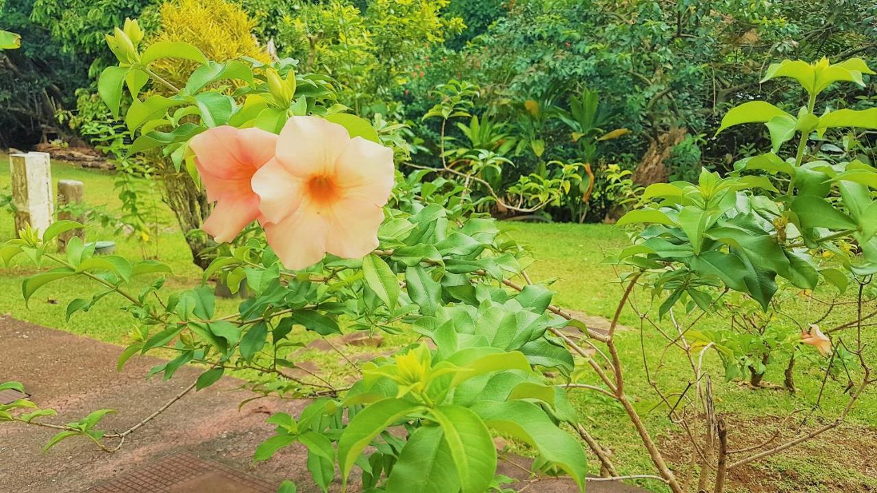 Вилла Huahine - Tipanier House Haapu Экстерьер фото